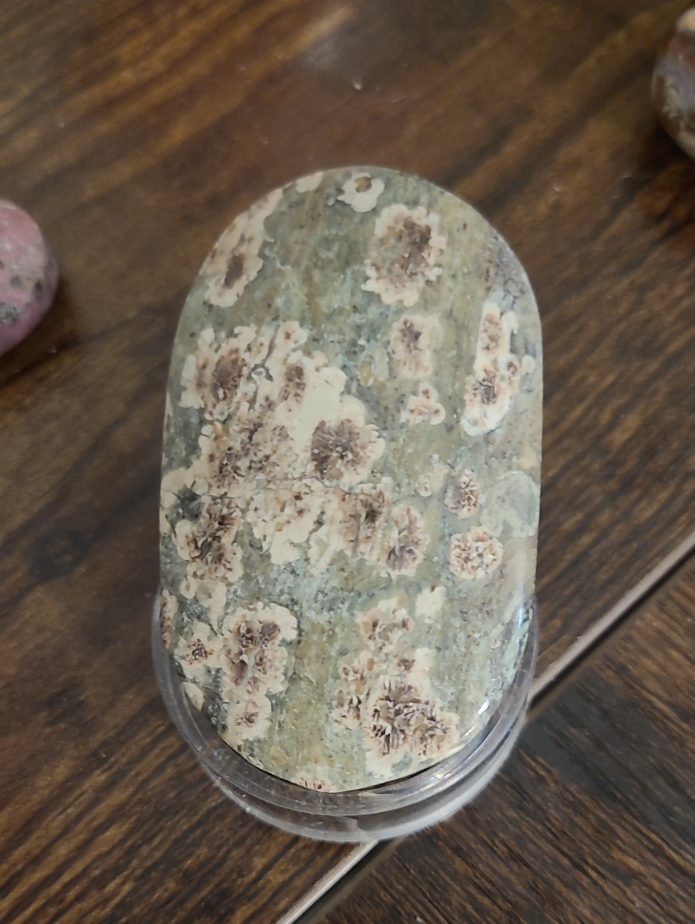 Russian Agate Palm Stone - Green with Cream and Brown Pattern